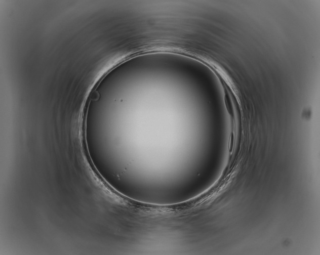 X0000096150957200801181159
