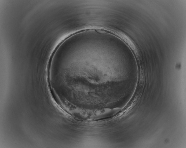 X0000096150958200801181159