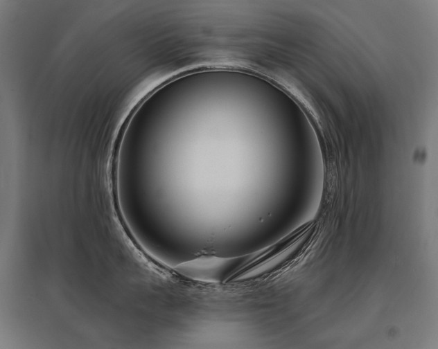 X0000096150959200801181159