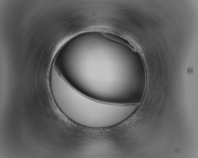 X0000096150960200801181159
