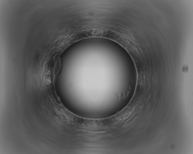 X0000096150962200801181159