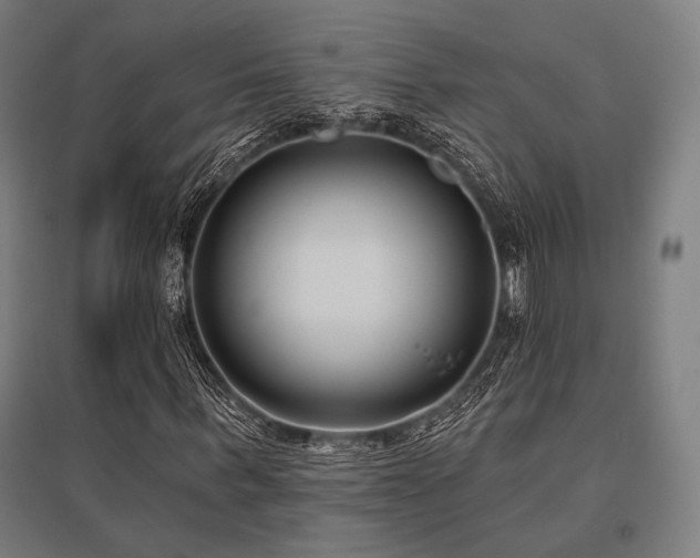 X0000096150963200801181159