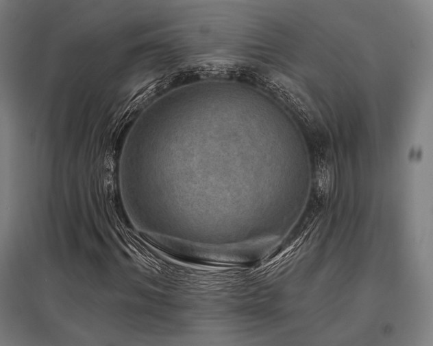 X0000096150964200801181159