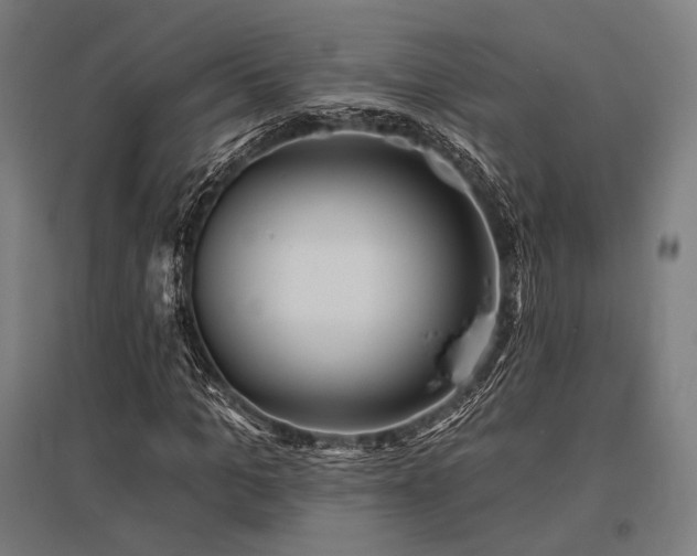 X0000096150965200801181159