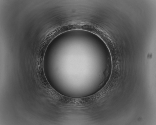 X0000096150966200801181159