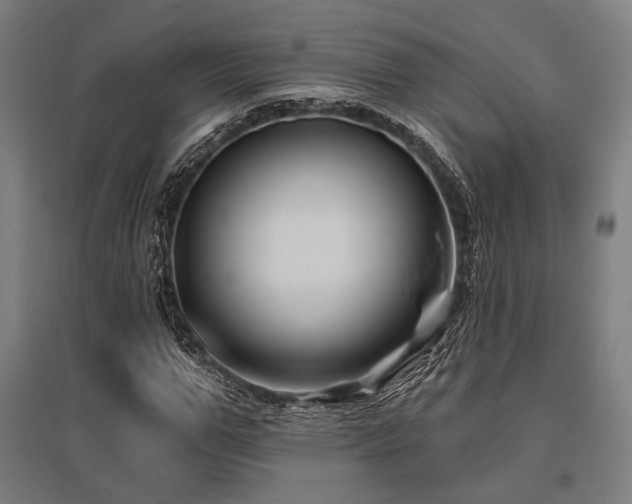 X0000096150967200801181159