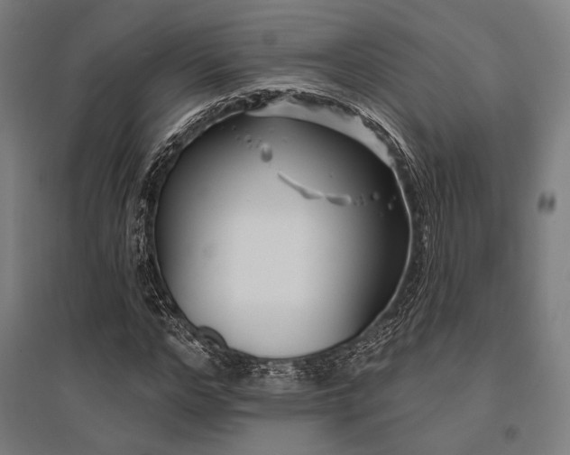 X0000096150968200801181159