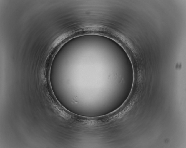 X0000096150970200801181158