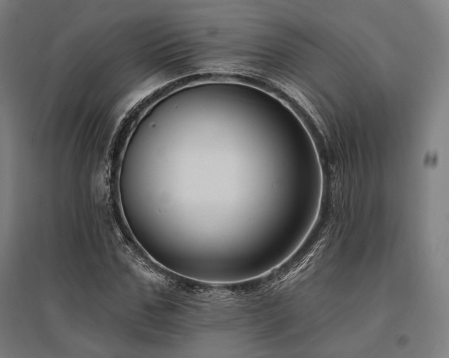 X0000096150971200801181158
