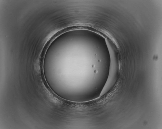X0000096150972200801181158