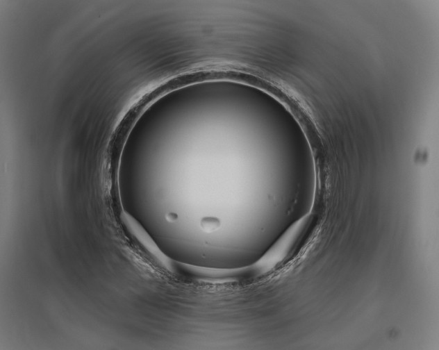 X0000096150973200801181158