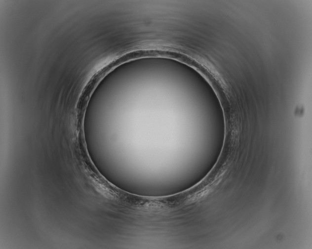 X0000096150974200801181158