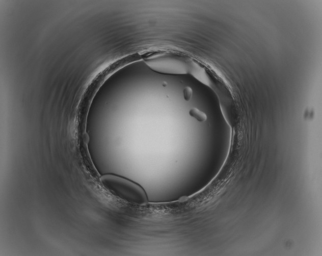 X0000096150975200801181158