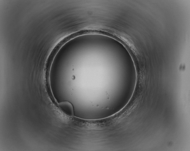 X0000096150976200801181158