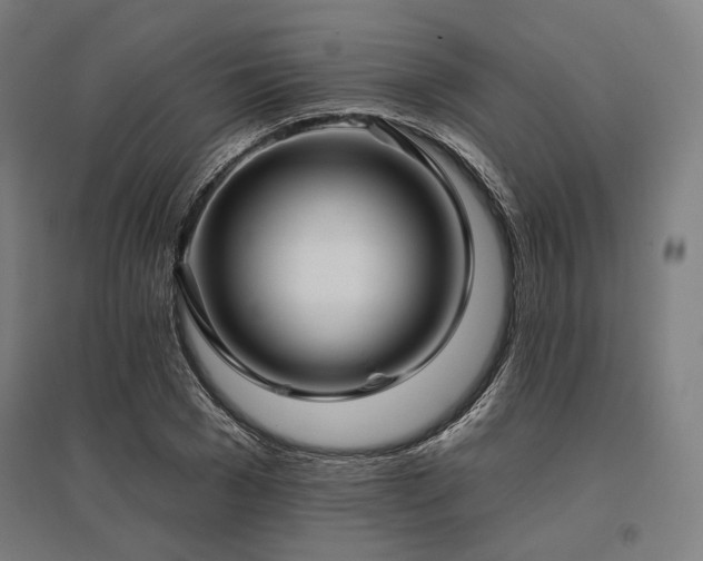 X0000096150977200801181158