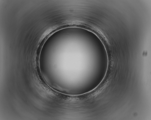 X0000096150978200801181158