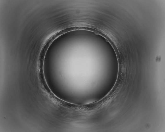 X0000096150979200801181158