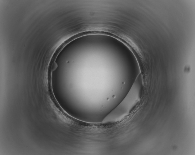 X0000096150980200801181158