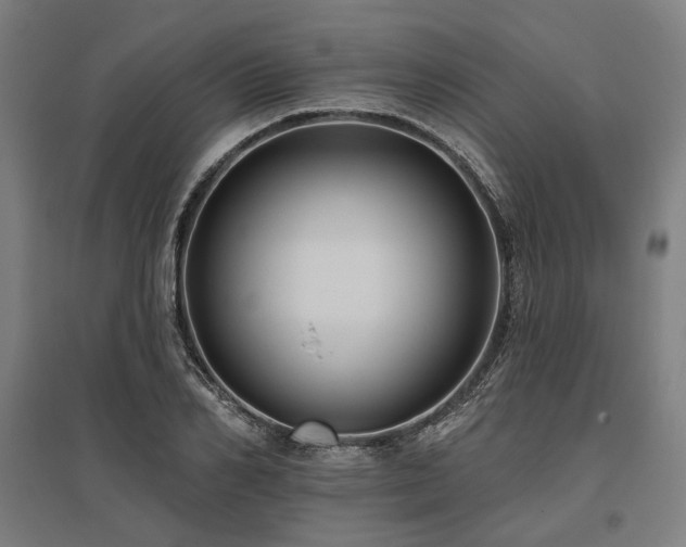 X0000096150982200801181158