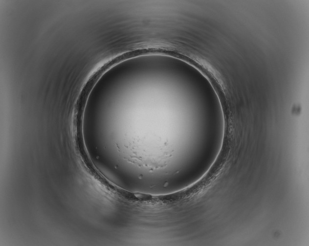 X0000096150983200801181158