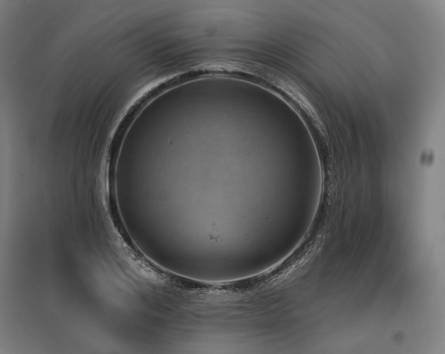 X0000096150984200801181158
