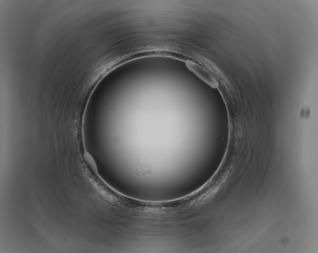 X0000096150985200801181158