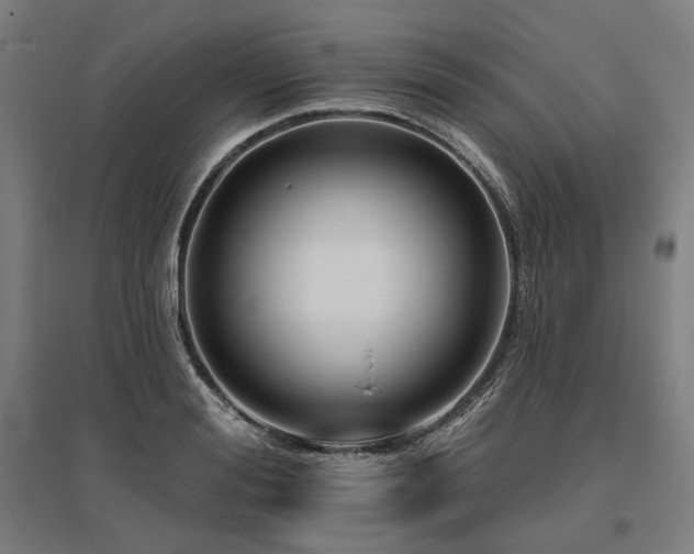 X0000096150988200801181158