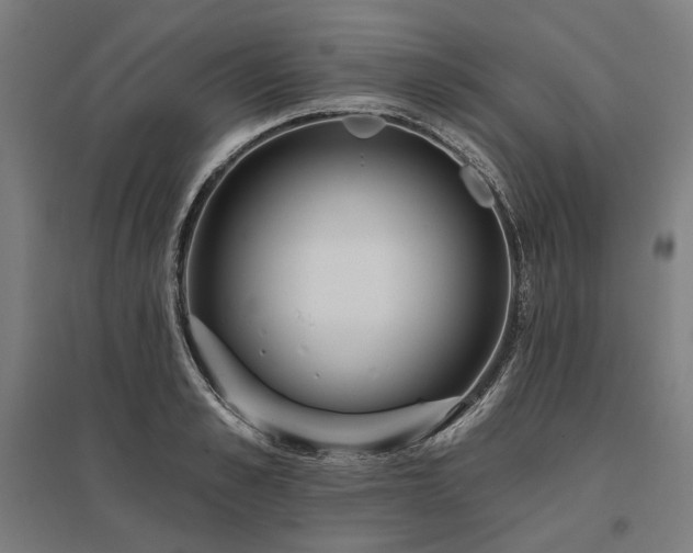 X0000096150989200801181158