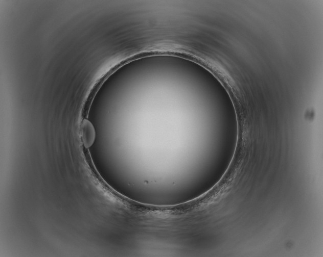 X0000096150990200801181158