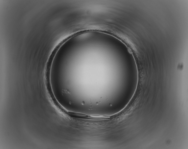 X0000096150991200801181158