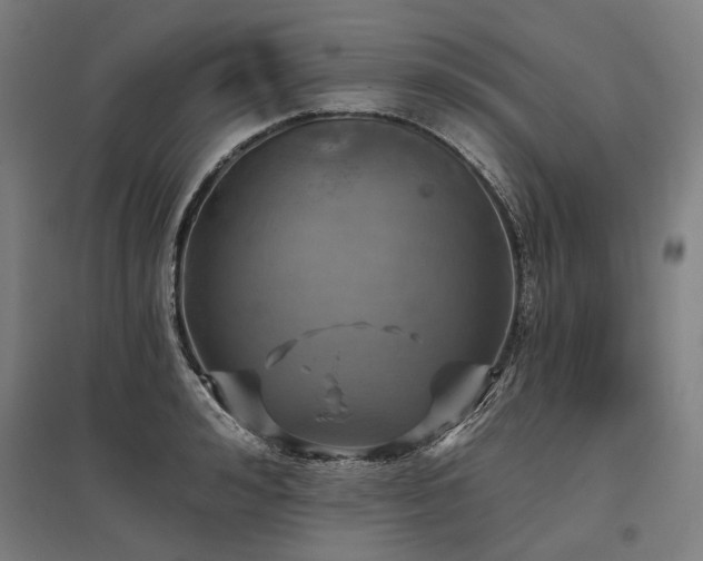 X0000096150992200801181158