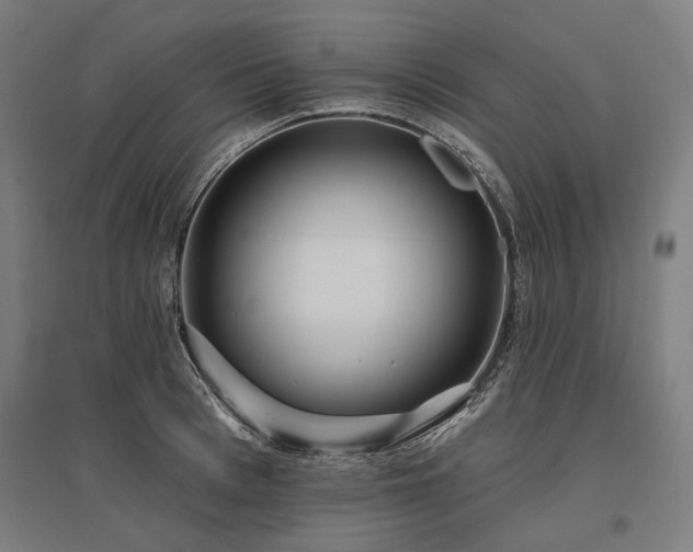 X0000096150993200801181158