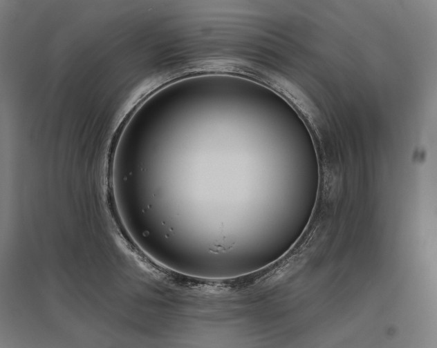 X0000096150994200801181158