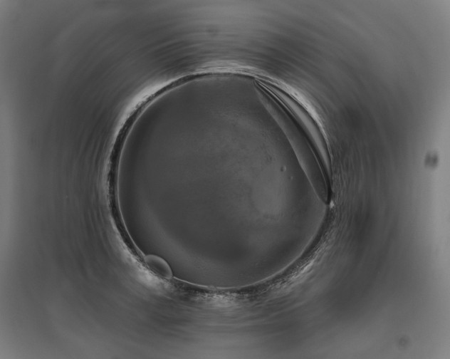 X0000096150995200801181158
