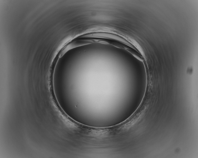 X0000096150997200801181158