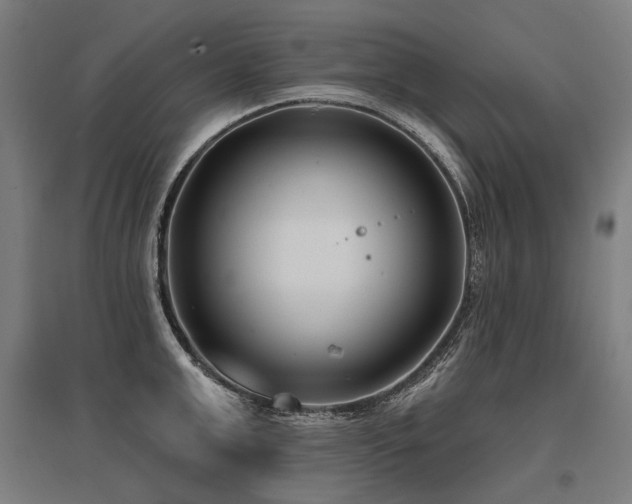 X0000096150999200801181158