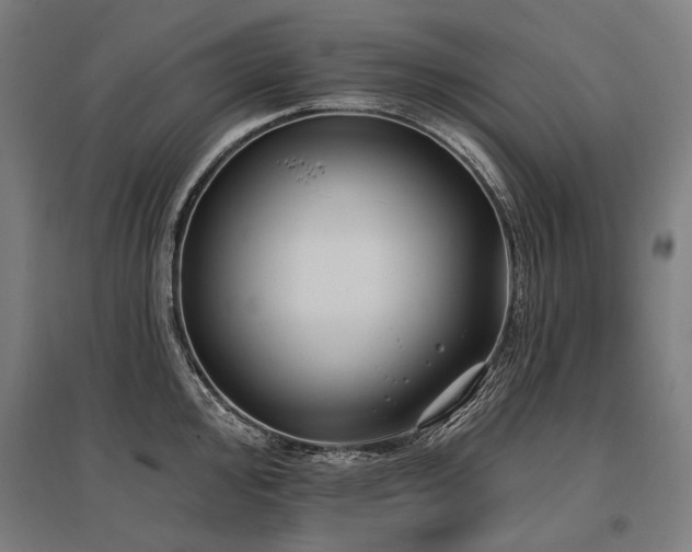 X0000096151000200801181158