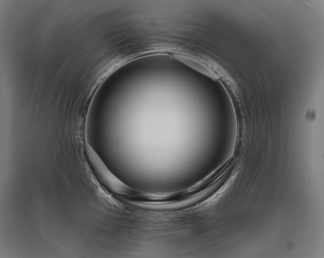 X0000096151001200801181158