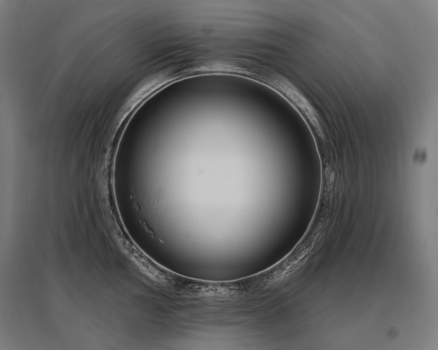 X0000096151002200801181158