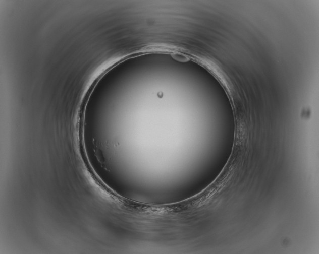 X0000096151003200801181158
