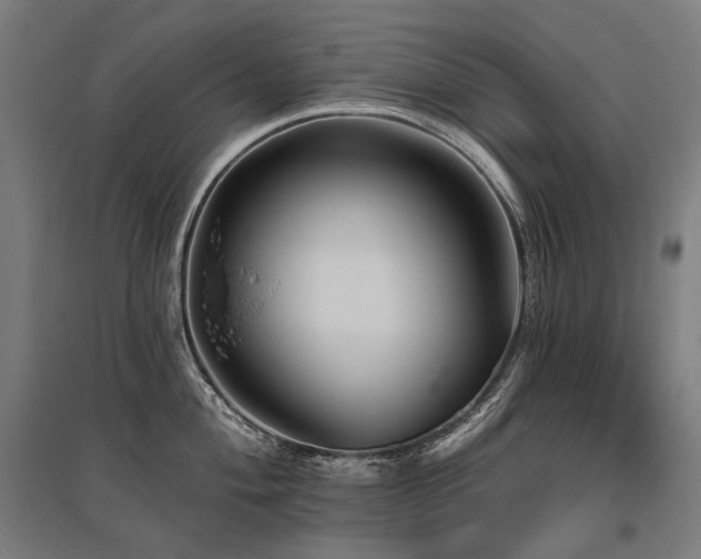 X0000096151004200801181158