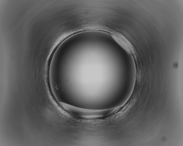 X0000096151005200801181158