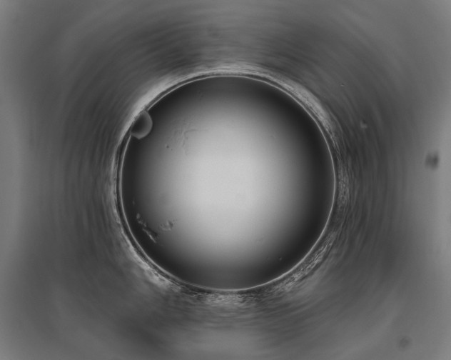 X0000096151006200801181158