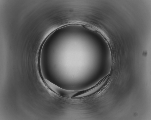 X0000096151007200801181158
