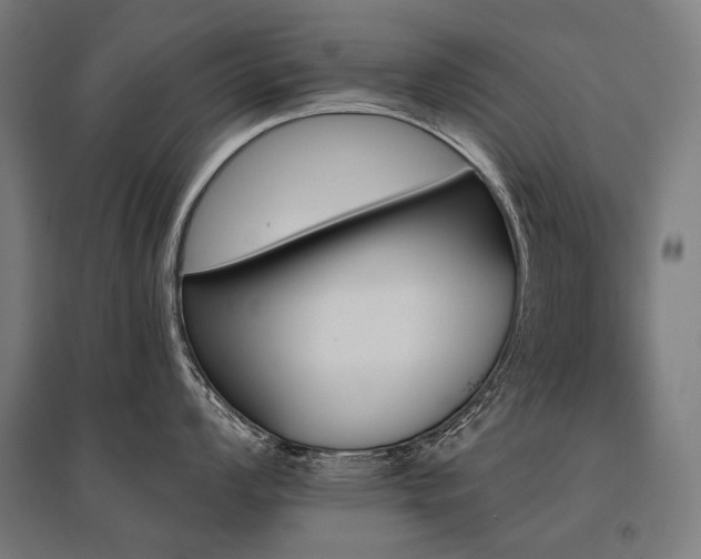 X0000096151008200801181158