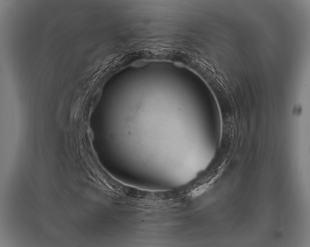X0000096151009200801181157