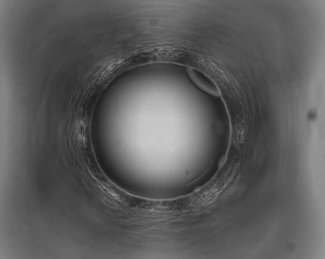X0000096151010200801181157