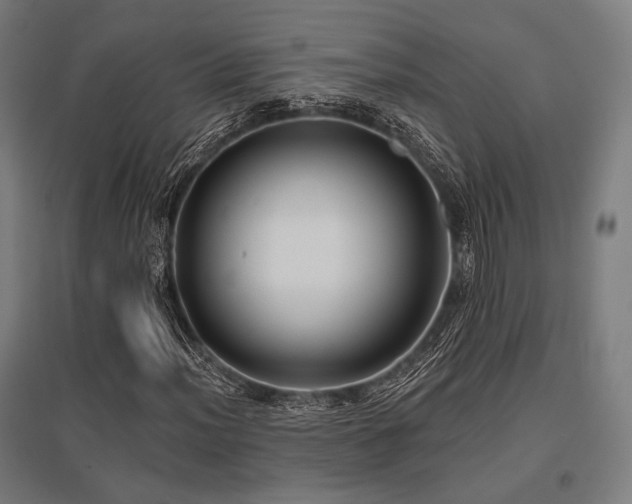 X0000096151012200801181157