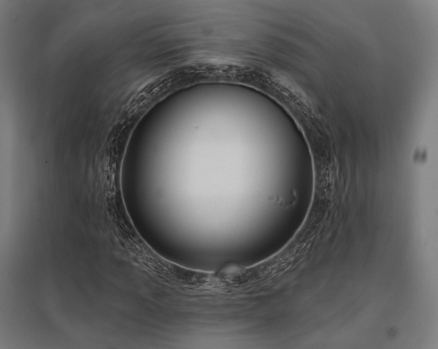 X0000096151013200801181157