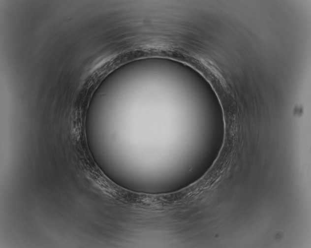 X0000096151015200801181157